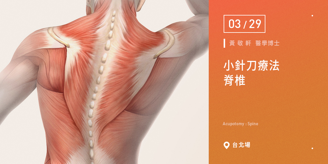 小針刀療法-脊椎【台北場】