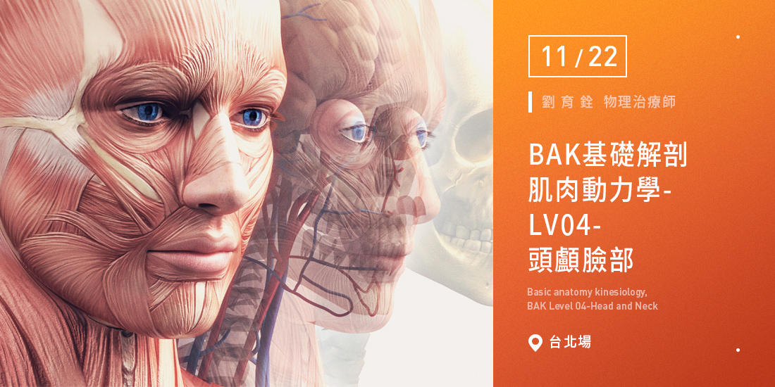 BAK基礎解剖肌肉動力學-LV04-頭顱臉部-【台北場】