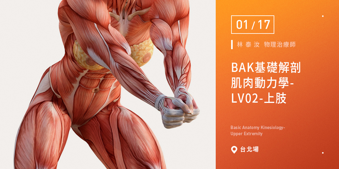 BAK基礎解剖肌肉動力學-LV02-上肢