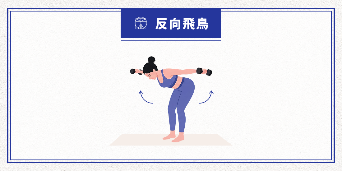 反向飛鳥示意圖