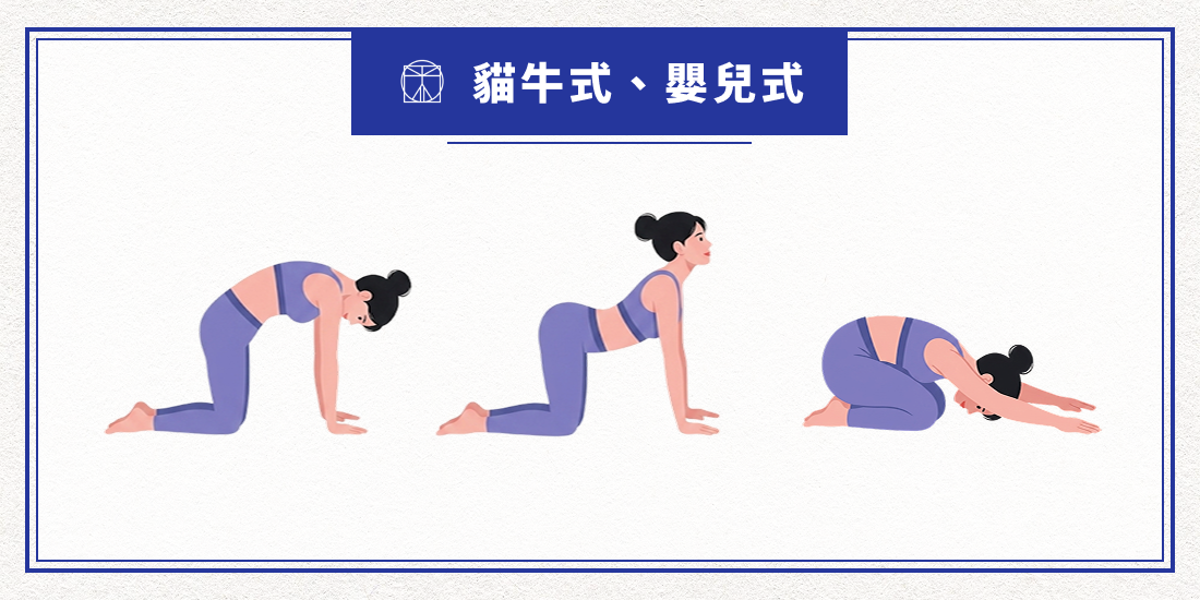 貓牛式、嬰兒式示意圖